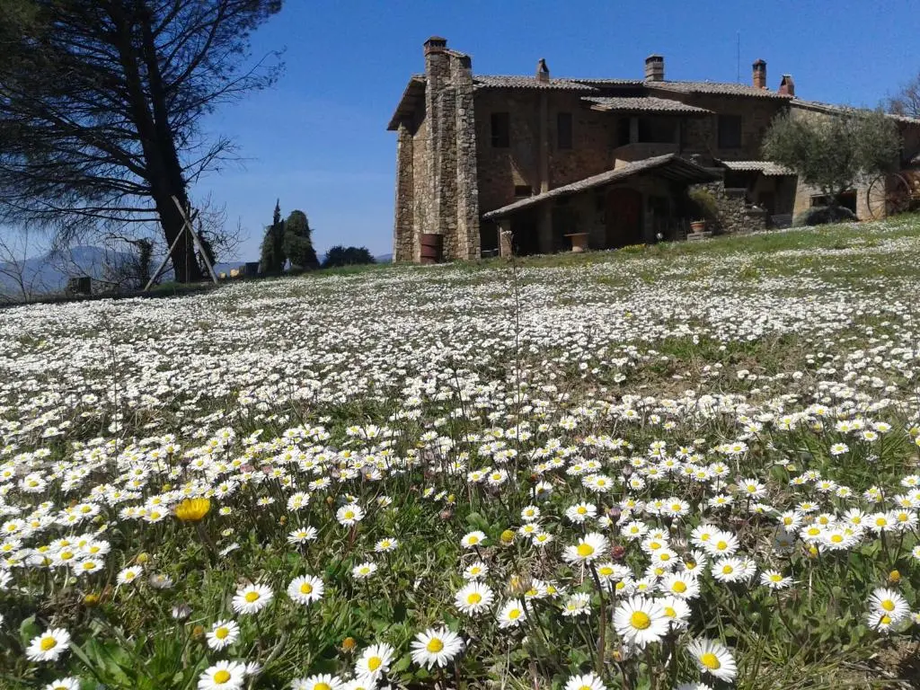 Agriturismo Le Roghete