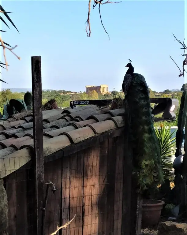 B&B Villa San Marco
