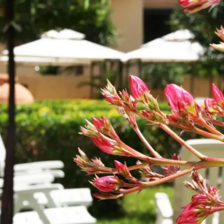 Solemare Accommodation Alghero