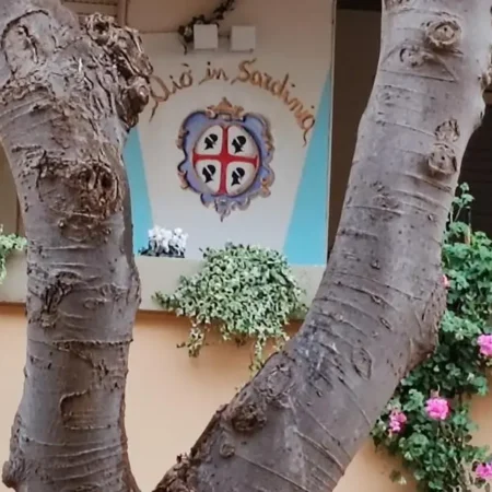 Elisart Guest House