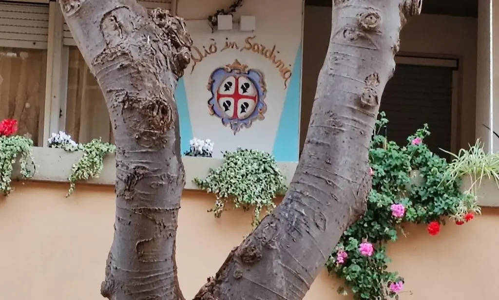 Elisart Guest House
