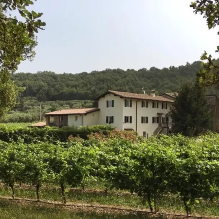 Agriturismo Ca’ Castellani