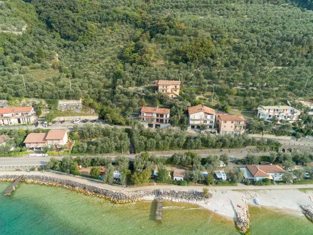 Madonna Dell’Aiuto True View Olivo