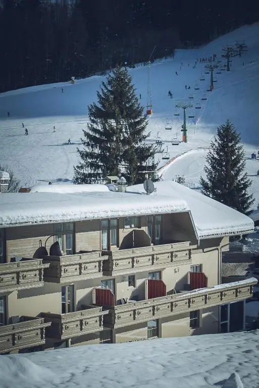 Ski-IN Ski-OUT Hotel Sonnleiten