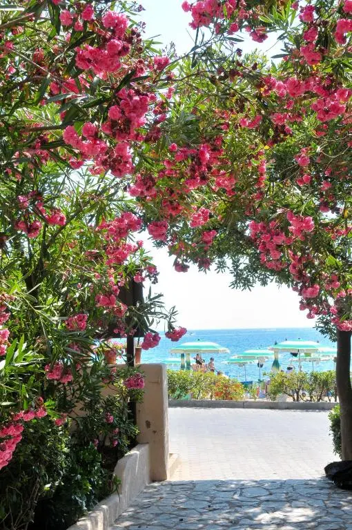 Hotel Villa Rodriguez