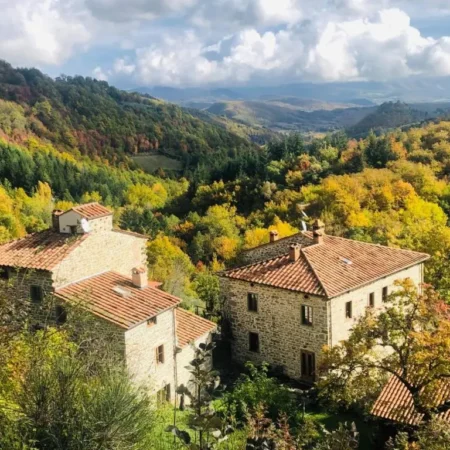 Bio Agriturismo Il Vigno – Pool Sauna Nature – Farm To Table Food – Wild Tuscan
countryside – Adults Only – Your Place to Breathe