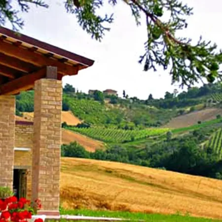 Agriturismo La Cicala