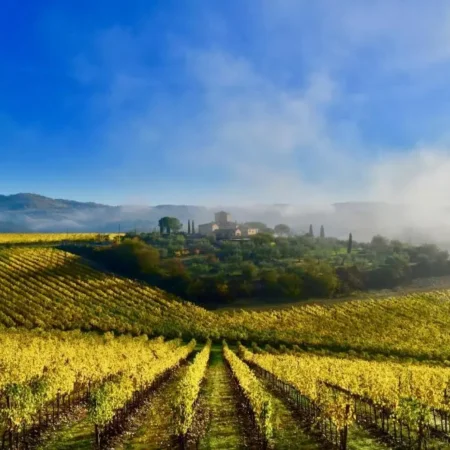 Locanda Le Piazze