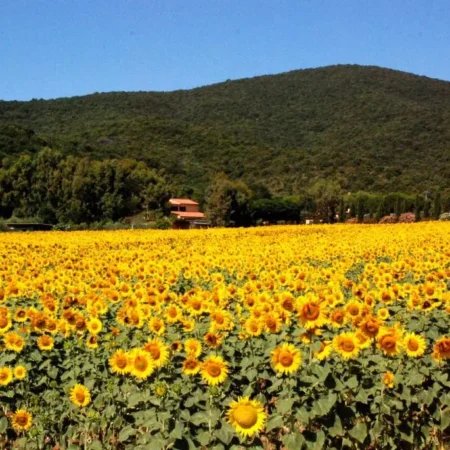 Podere Valborgina