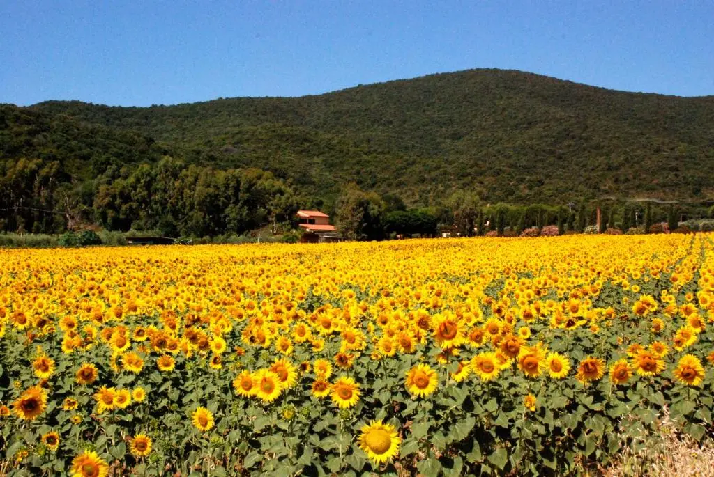 Podere Valborgina