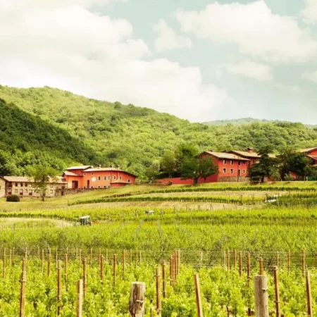 Agriturismo l’Uva e le Stelle