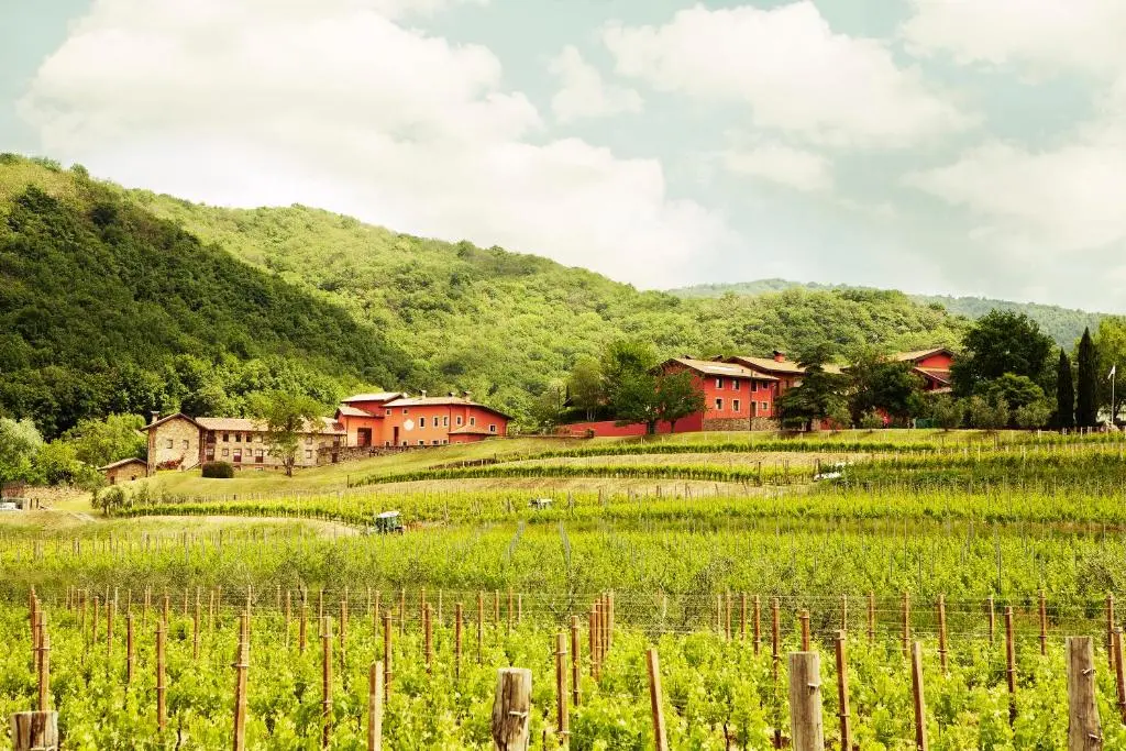 Agriturismo l’Uva e le Stelle