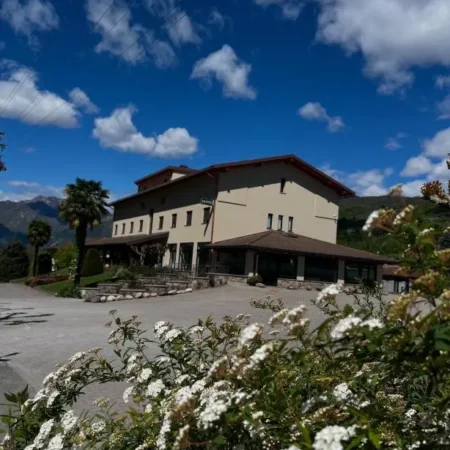 Hotel Merloni