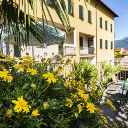 Hotel Lauro