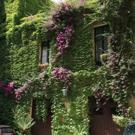 Palazzo Rollo