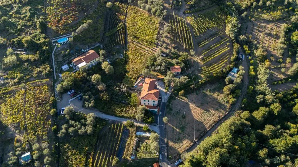 Agriturismo La Collina Verde