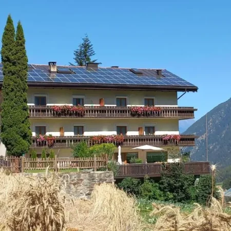Alpenrose