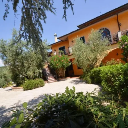 Poggio Degli Olivi