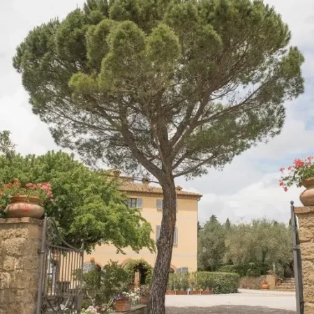Terre di Nano