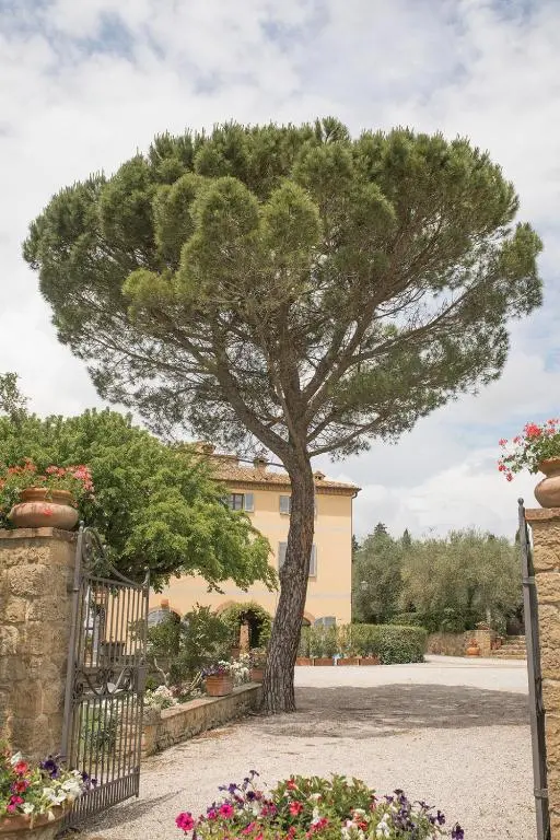 Terre di Nano
