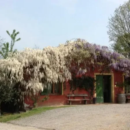Agriturismo Cascina degli Ulivi