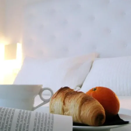 Hotel Salus
