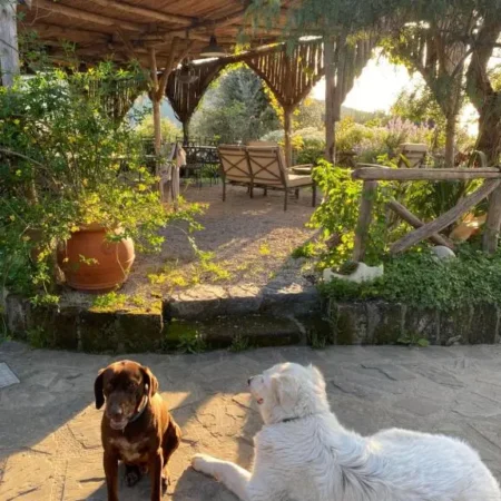 Agriturismo L’Olivara