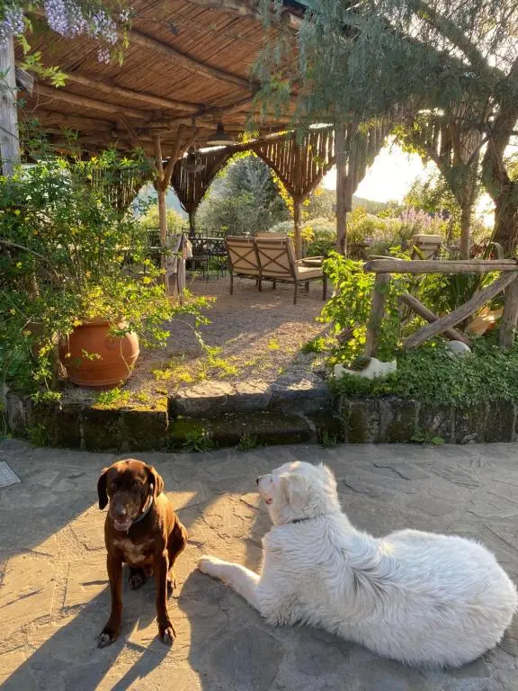 Agriturismo L’Olivara