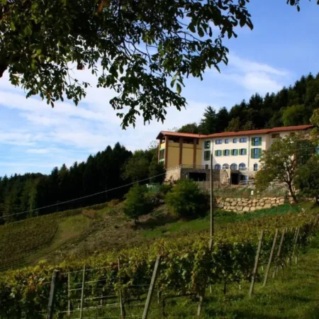 Polisena L’Altro Agriturismo Veg