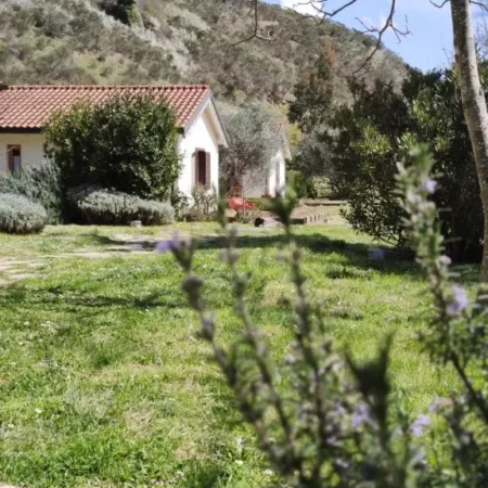 Taverna Centomani
