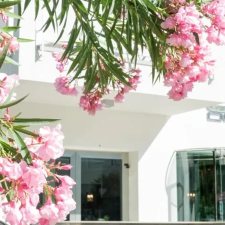 The One Hotel – Designed for Adults – Pet lovers