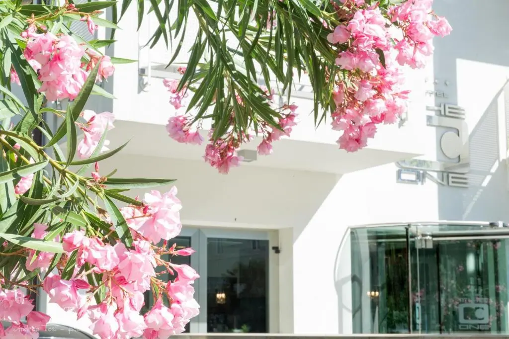 The One Hotel – Designed for Adults – Pet lovers
