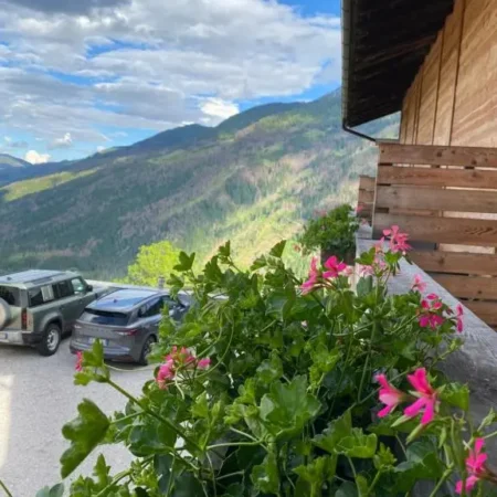 Hotel Almhof