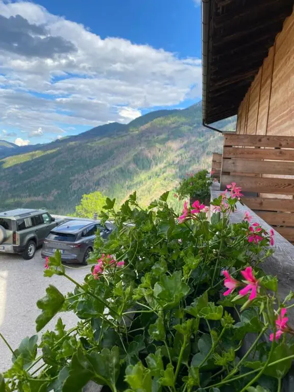 Hotel Almhof