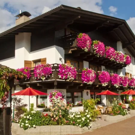 Hotel Erika