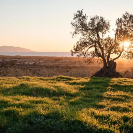 Agriturismo Podere L’Agave