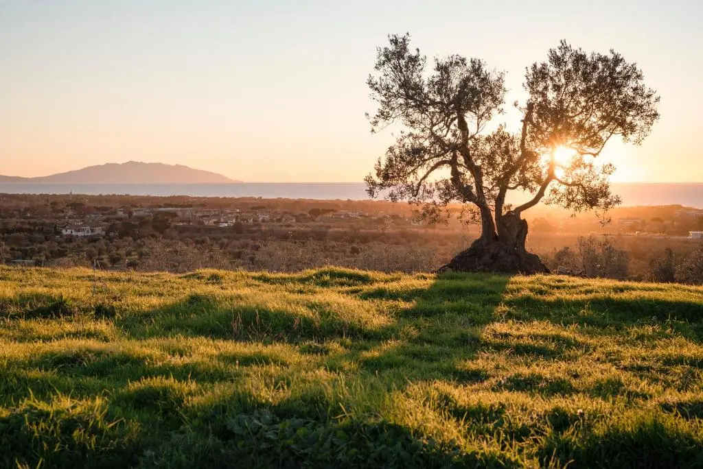 Agriturismo Podere L’Agave