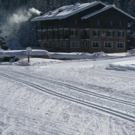 Albergo Thurwieser