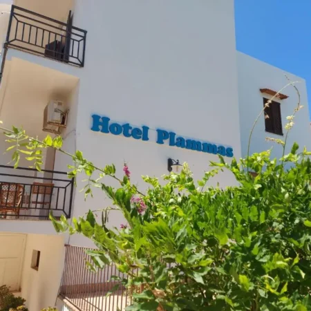 Hotel Plammas