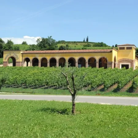 Monte Tondo Winery