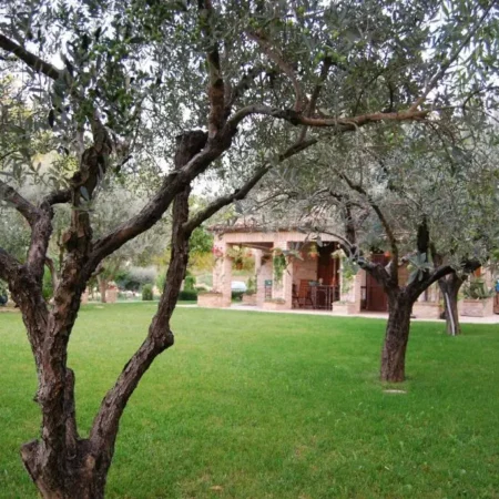 Bed and Breakfast La casa delle rondini