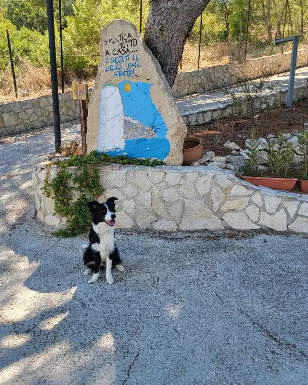 Residence Dolce Far Niente